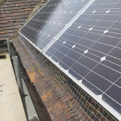 Solar panel cleaning and bird proofing